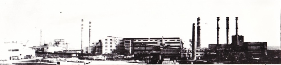 Панорама промышленных объектов Лебединского ГОКа. 1981 г. ГАНИБО. Ф. 2080, Оп. 9, Д. 59 (2)